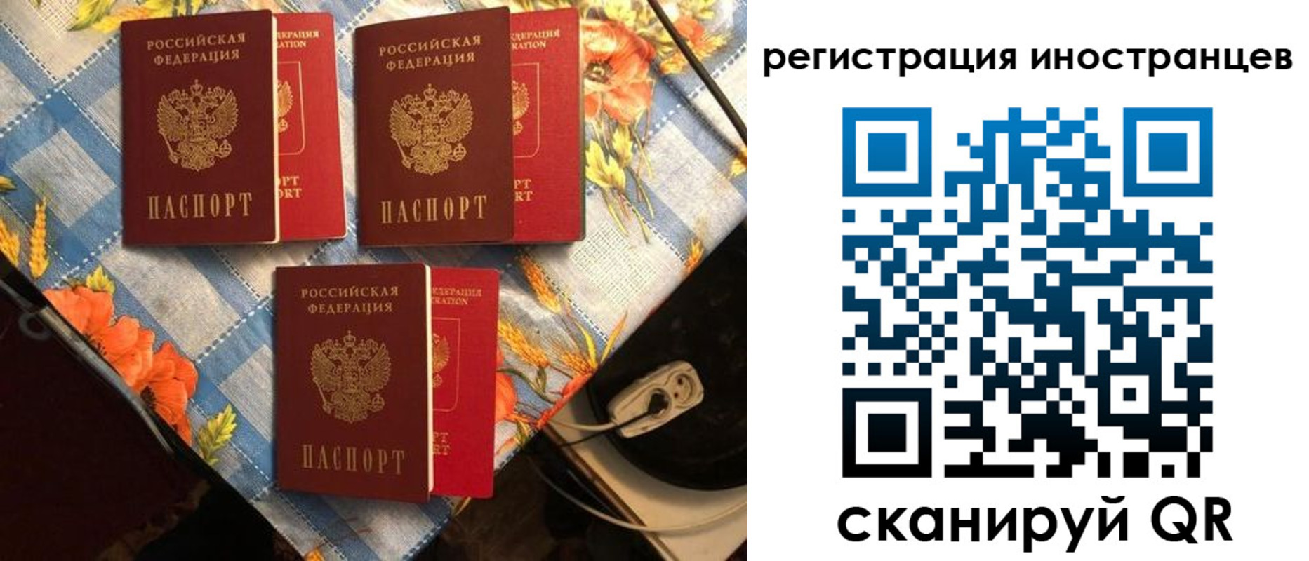 прописка поиск в Гае
